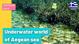 4K Underwater video at Patmos Greek island