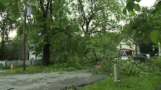 Excelsior Springs sees scattered damage from Friday storm