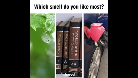Which smell do you like the most? [GMG Originals]
