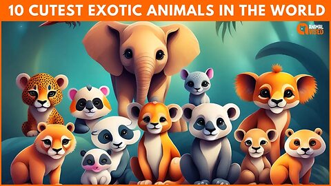 The 10 Cutest Exotic Animals in the World - A Must-See for Animal Lovers! | Animal Vised