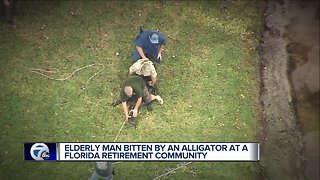 85-year-old man bitten by alligator in Florida