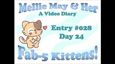 Video Diary Entry 028: Day 24 - Quick Video; All Is Well