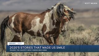 In a tough year, these were the Denver7 stories that made you smile