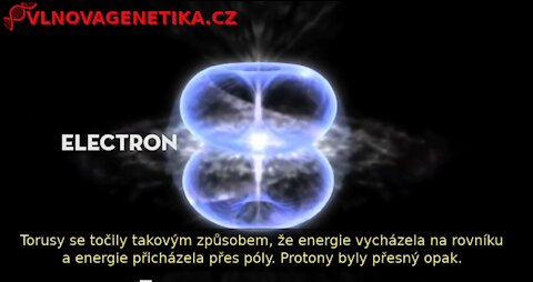 Geometrie Života - Torus