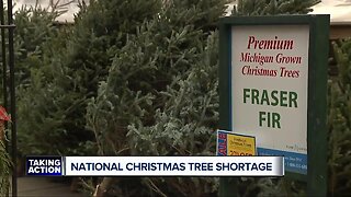 National Christmas tree shortage