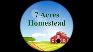 7 Acres Homestead-Episode #2-7 Acres Homestead Tour