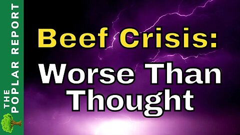 Less Calves = Less BEEF | The Beef Shortage Gets WORSE - Food Shortage & Empty Shelves Update