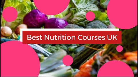 Best Nutrition Course