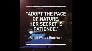 Adopt the pace of nature [GMG Originals]