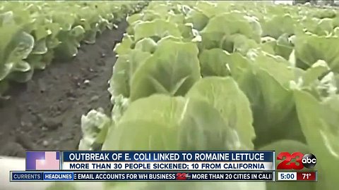 CDC issues warning of E Coli romaine lettuce outbreak