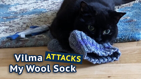 Vilma Attacks My Wool Sock
