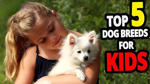 TOP 5 Best Dog Breeds For Kids In The World