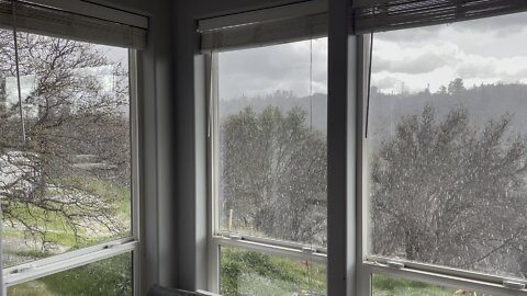 Snowing, view from my home office windows