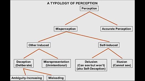 The Manipulation of Your Perception