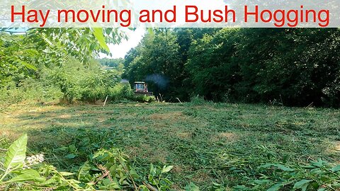 Hay Moving and Bush Hogging