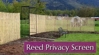 Reed Privacy Screen