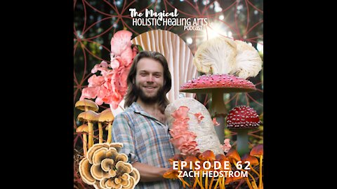 EP62: Boulder Mushroom with Zach Hedstrom -- Magical Holistic Healing Arts Podcast