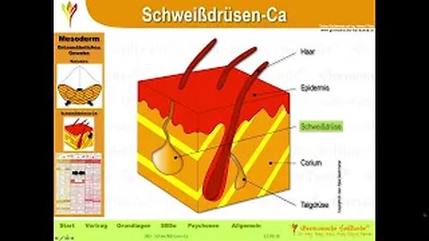 Kinderkrankheiten 2 - Haut Knochen Lymphknoten Blase