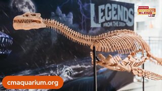 Legends From the Deep | Morning Blend