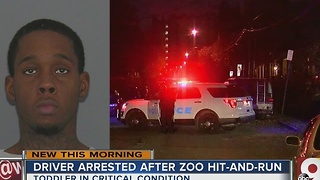 Driver arrested after zoo hit-and-run crash