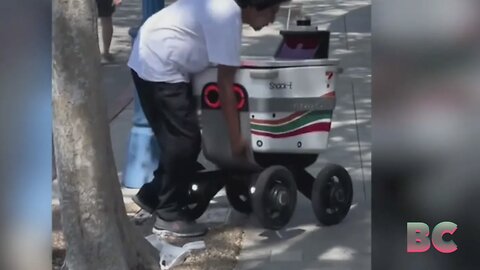 Food delivery robots are being robbed in the US