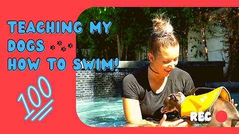 Teaching My Dogs How To Swim