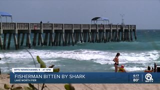 Fisherman bitten by shark in Lake Worth Beach