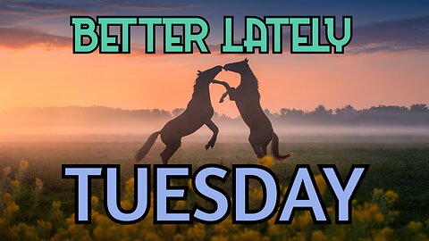 Better Lately - Tuesday