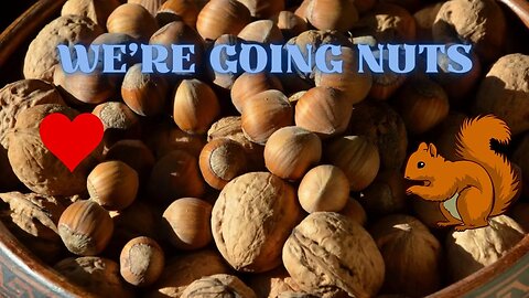We're Going Nuts