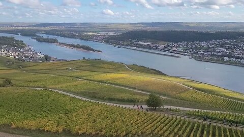 Rüdesheim, die Weinberge und der Rhein von oben, wundervoll / German vineyards and Rhine from above
