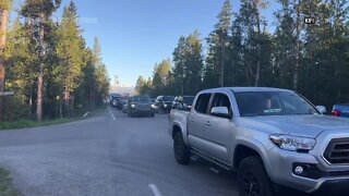 Thousands line up for Yellowstone National Park reopening