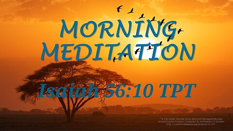 Morning Meditation -- Isaiah 56 verse 10 TPT