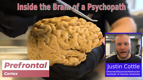 Justin Cottle - Inside the Brain of a Psychopath