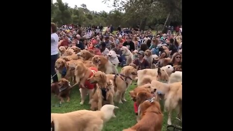 A cute heaven for us 🐾 (Watch until the end *that smile* 😍) . .