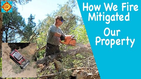 How We Fire-Mitigated Our Property | EP 5 Summer in our OFF GRID SELF-SUSTAINING HOME in Colorado