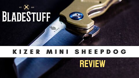 Kizer Mini Sheepdog Review