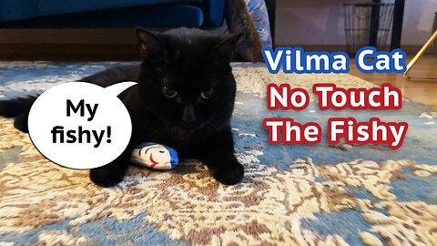 Vilma Cat No Touch The Fishy! - edit