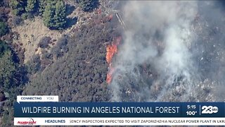 Wildfire Burning in Angeles National Forest