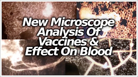 Vaccine & Blood Analysis Under Microscope Presented By Independent Researches, Lawyers & Doctor