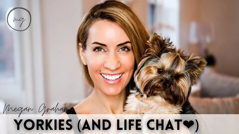 Yorkie (and life ❤️) chat