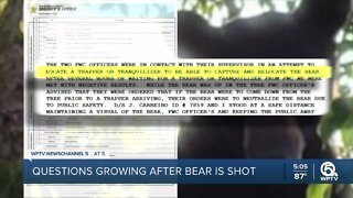 Questions growing after black bear is shot, killed in Royal Palm Beach