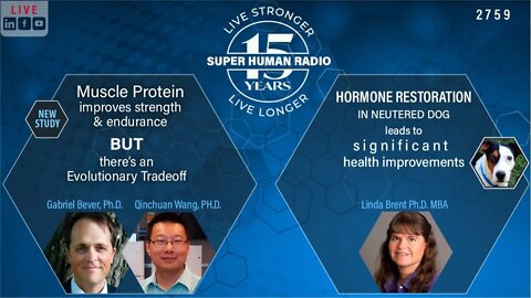 Muscle Protein That Makes Vertebrates Fit Linked to Limiting Lifespan + HRT For Dogs Improves Health