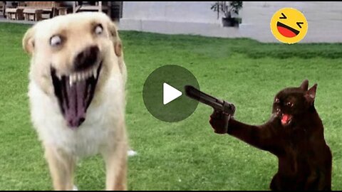 Funny Dogs And Cats Videos 2023- Best Funnies #10