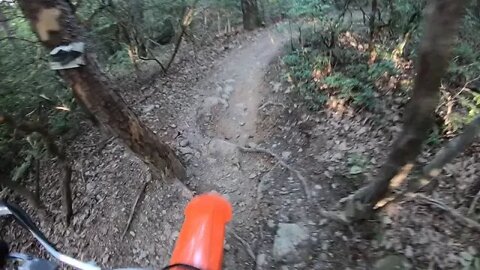 Brushy Mountain Motor Sports Park, Enduro Trail Stage 1 and 2 - Part 2