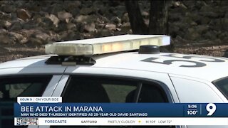 Police: 29-year-old died in Marana bee attack