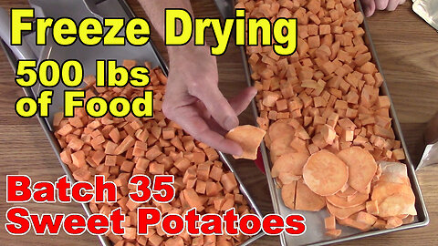Freeze Drying Your First 500 lbs of Food - Batch 35 - Sweet Potatoes