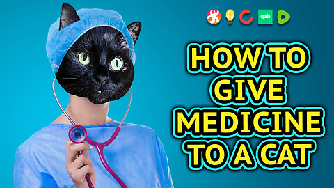 How To Give Medicine To A Cat (Vilma Style)