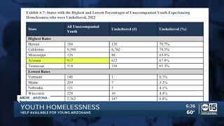 Arizona a leader in homelessness, HUD report shows