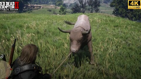 How to Kill the Biggest Devon Ox in Red Dead Redemption 2