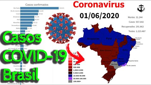 Casos de Covid-19 no Brasil (Agosto 2020)